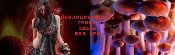 первитин Бородино