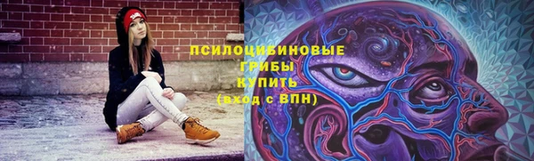 скорость Богородск