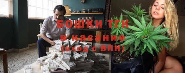 ALPHA PVP Покров
