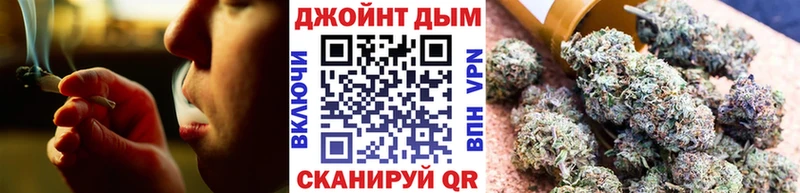 Каннабис SATIVA & INDICA  Кохма 